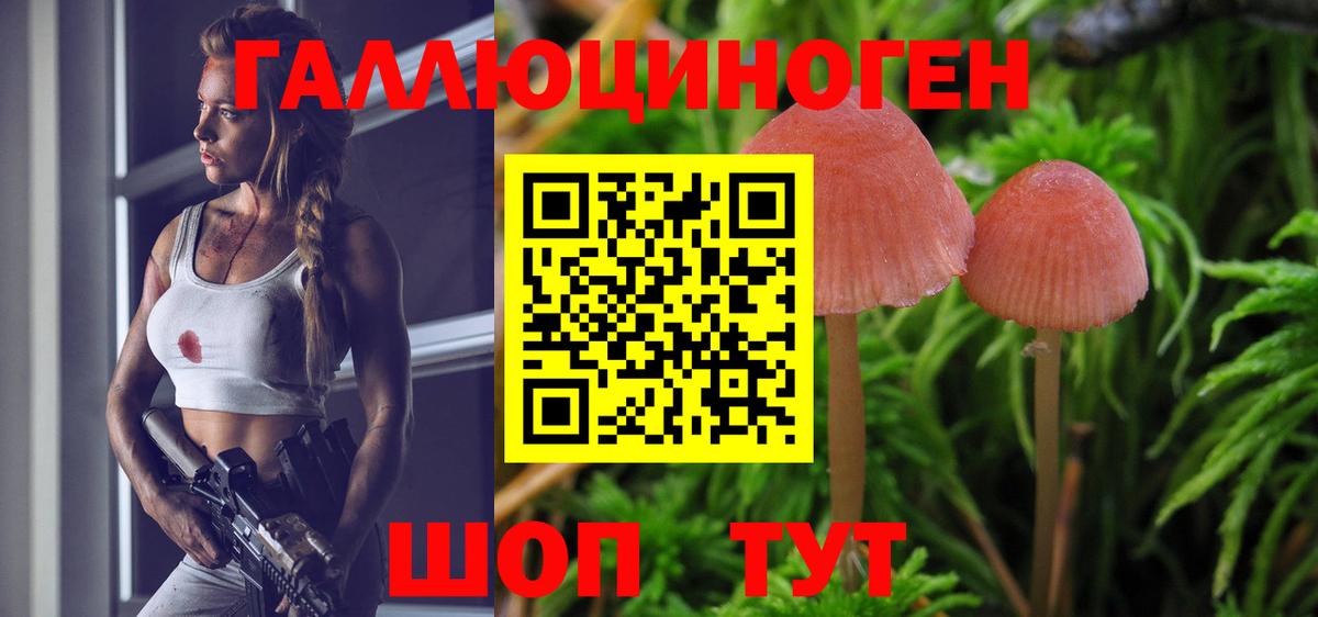 Псилоцибиновые грибы Psilocybine cubensis Оренбург