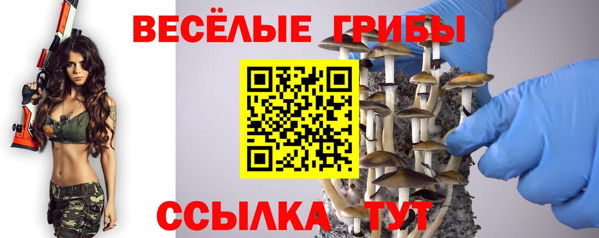 Галлюциногенные грибы Psilocybe  Псилоцибиновые грибы мухоморы  Вход с VPN  Оренбург 