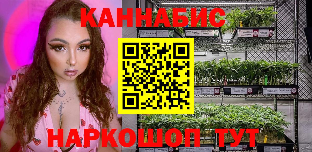 Канабис THC 21%  Вход с VPN  Оренбург  Каннабис индика  Конопля план 